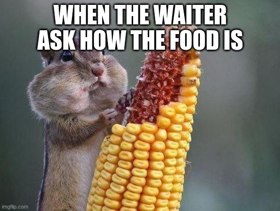 WHEN THE WAITER ASKS HOW THE FOOD IS | image tagged in fun | made w/ Imgflip meme maker