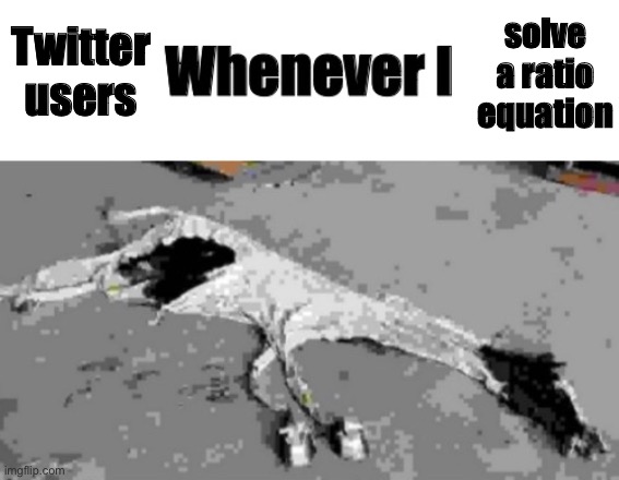 Twitter users; solve a ratio equation | image tagged in whenever i | made w/ Imgflip meme maker