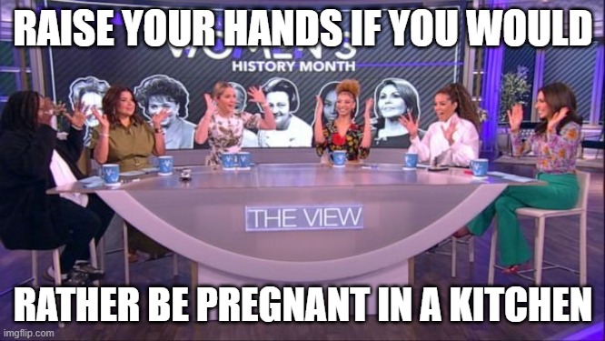 womens history month | RAISE YOUR HANDS IF YOU WOULD; RATHER BE PREGNANT IN A KITCHEN | image tagged in womens rights,equal rights,feminazi,feminist chick,kitchen,dinner | made w/ Imgflip meme maker