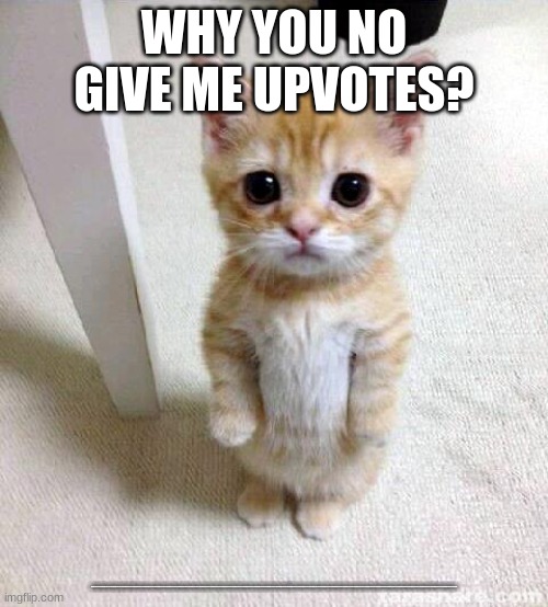 Cute Cat | WHY YOU NO GIVE ME UPVOTES? HHHHHHHHHHHHHHHHHHHHHHHHHHHHHHHHHHHHHHHHHHHHHHHHHHHHHHHHHHHHHHHHHHHHHHHHHHHHHHHHHHHHHHHHHHHHHHHHHHHHHHHHHHHHHHHHHHHHHHHHHHHHHHHHHHHHHHHHHHHHHHHHHHHHHHHHHHHHHHHHHHHHHHHHHHHHHHHHHHHHHHHHHHHHHHHHHHHHHHHHHHHHHHHHHHHHHHHHHHHHHHHHHHHHHHHHHHHHHHHHHHHHHHHHHHHHHHHHHHHHHHHHHHHHHHHHHHHHHHHHHHHHHHHHHHHHHHHHHHHHH | image tagged in memes,cute cat | made w/ Imgflip meme maker