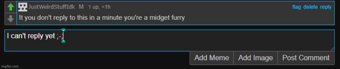 made w/ Imgflip meme maker