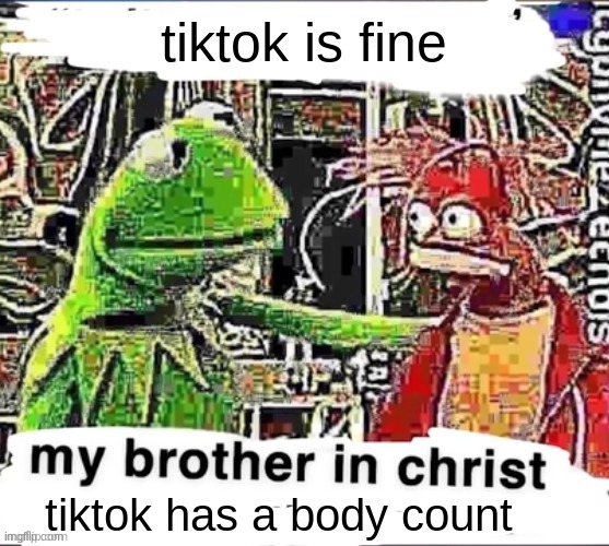 tiktoks body count is higher than my iq (my iq is 69) | tiktok is fine; tiktok has a body count | image tagged in my brother in christ,kermit the frog,kermit,muppets,tiktok,puppet | made w/ Imgflip meme maker