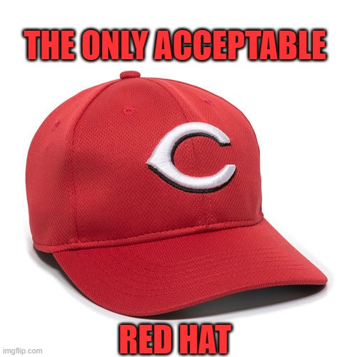 Red Hat | THE ONLY ACCEPTABLE; RED HAT | image tagged in reds,red hat,trump,maga | made w/ Imgflip meme maker