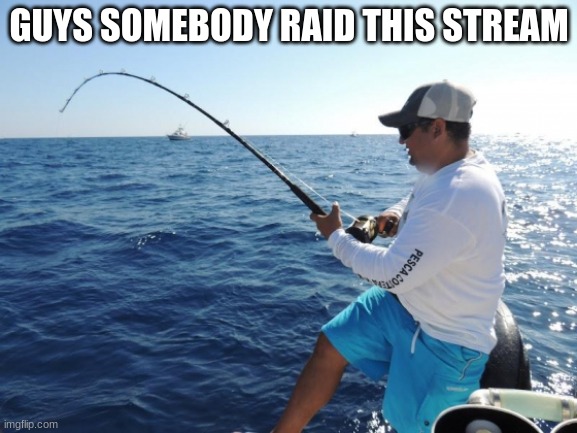 fishing  | GUYS SOMEBODY RAID THIS STREAM | image tagged in fishing | made w/ Imgflip meme maker