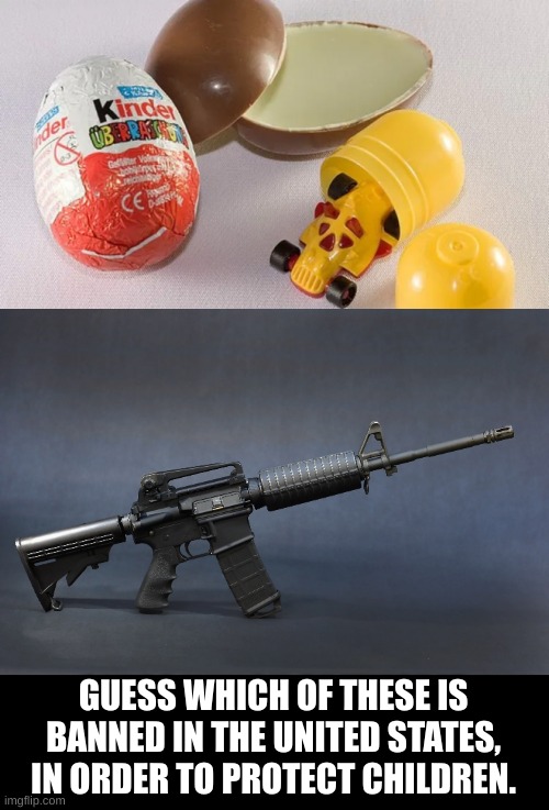 Won't someone PLEASE think of the children | GUESS WHICH OF THESE IS BANNED IN THE UNITED STATES, IN ORDER TO PROTECT CHILDREN. | image tagged in ar-15,gun control,mass shooting | made w/ Imgflip meme maker