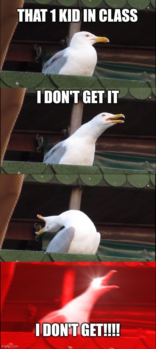 Inhaling Seagull Meme | THAT 1 KID IN CLASS; I DON'T GET IT; I DON'T GET!!!! | image tagged in memes,inhaling seagull | made w/ Imgflip meme maker