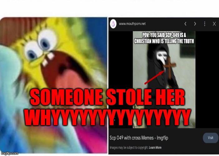 old post from my early days as an Imgflipper | SOMEONE STOLE HER
WHYYYYYYYYYYYYYYY | made w/ Imgflip meme maker