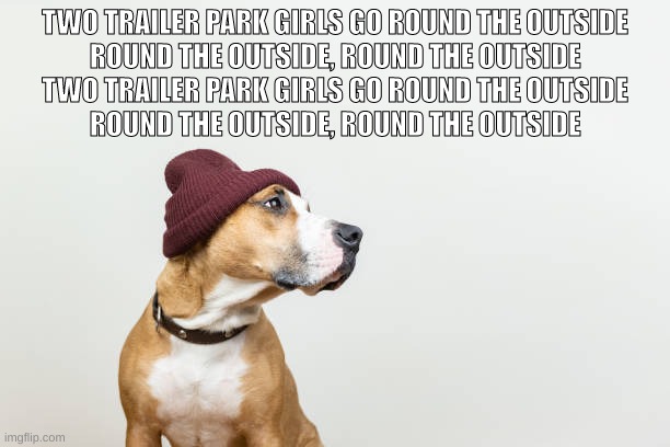 eminem | TWO TRAILER PARK GIRLS GO ROUND THE OUTSIDE
ROUND THE OUTSIDE, ROUND THE OUTSIDE
TWO TRAILER PARK GIRLS GO ROUND THE OUTSIDE
ROUND THE OUTSIDE, ROUND THE OUTSIDE | made w/ Imgflip meme maker