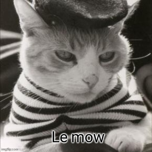 Le mow | image tagged in le mow | made w/ Imgflip meme maker