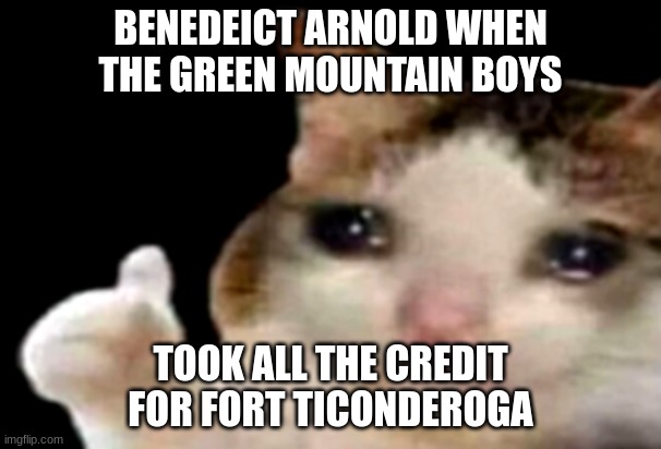 benedict arnolds reaction | BENEDEICT ARNOLD WHEN THE GREEN MOUNTAIN BOYS; TOOK ALL THE CREDIT FOR FORT TICONDEROGA | image tagged in sad cat thumbs up,history memes | made w/ Imgflip meme maker