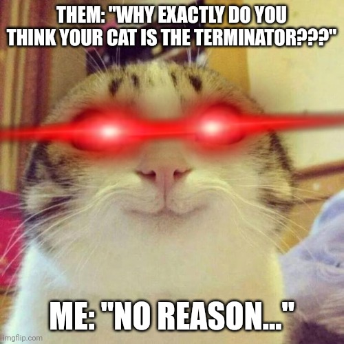 Cat terminator!!!! | THEM: "WHY EXACTLY DO YOU THINK YOUR CAT IS THE TERMINATOR???"; ME: "NO REASON..." | image tagged in terminator,cats,memes | made w/ Imgflip meme maker