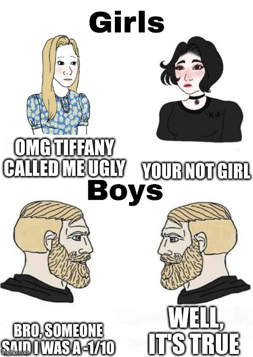That is true | OMG TIFFANY CALLED ME UGLY; YOUR NOT GIRL; WELL, IT'S TRUE; BRO, SOMEONE SAID I WAS A -1/10 | image tagged in girls vs boys,funny | made w/ Imgflip meme maker