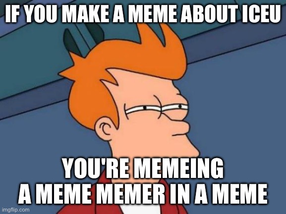 Thanks, I hate it. | IF YOU MAKE A MEME ABOUT ICEU; YOU'RE MEMEING A MEME MEMER IN A MEME | image tagged in memes,futurama fry,funny | made w/ Imgflip meme maker