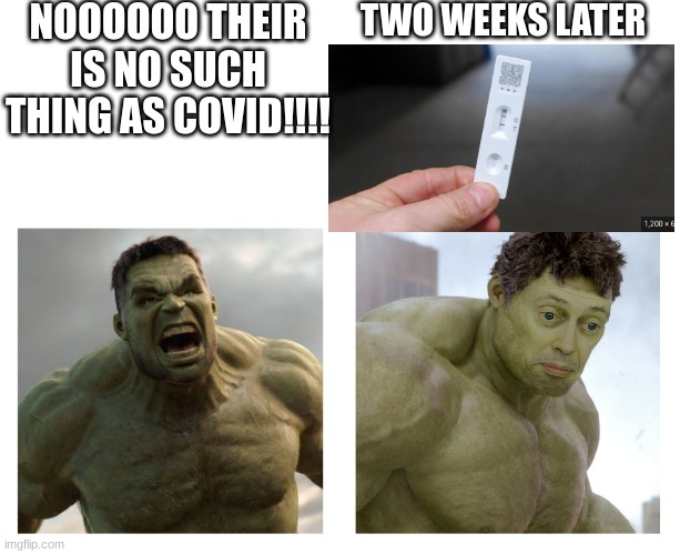 Hulk angry then realizes he's wrong | NOOOOOO THEIR IS NO SUCH THING AS COVID!!!! TWO WEEKS LATER | image tagged in hulk angry then realizes he's wrong | made w/ Imgflip meme maker