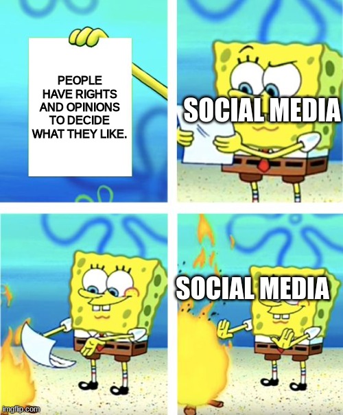 Spongebob Burning Paper | PEOPLE HAVE RIGHTS AND OPINIONS TO DECIDE WHAT THEY LIKE. SOCIAL MEDIA; SOCIAL MEDIA | image tagged in spongebob burning paper | made w/ Imgflip meme maker