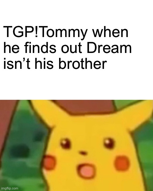 Surprised Pikachu Meme | TGP!Tommy when he finds out Dream isn’t his brother | image tagged in memes,surprised pikachu | made w/ Imgflip meme maker