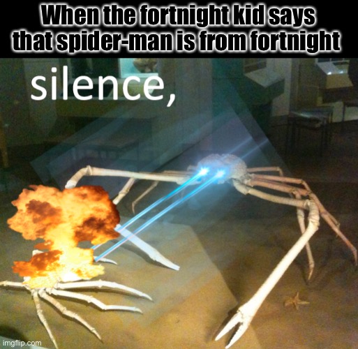 Silence Crab | When the fortnight kid says that spider-man is from fortnight | image tagged in silence crab | made w/ Imgflip meme maker