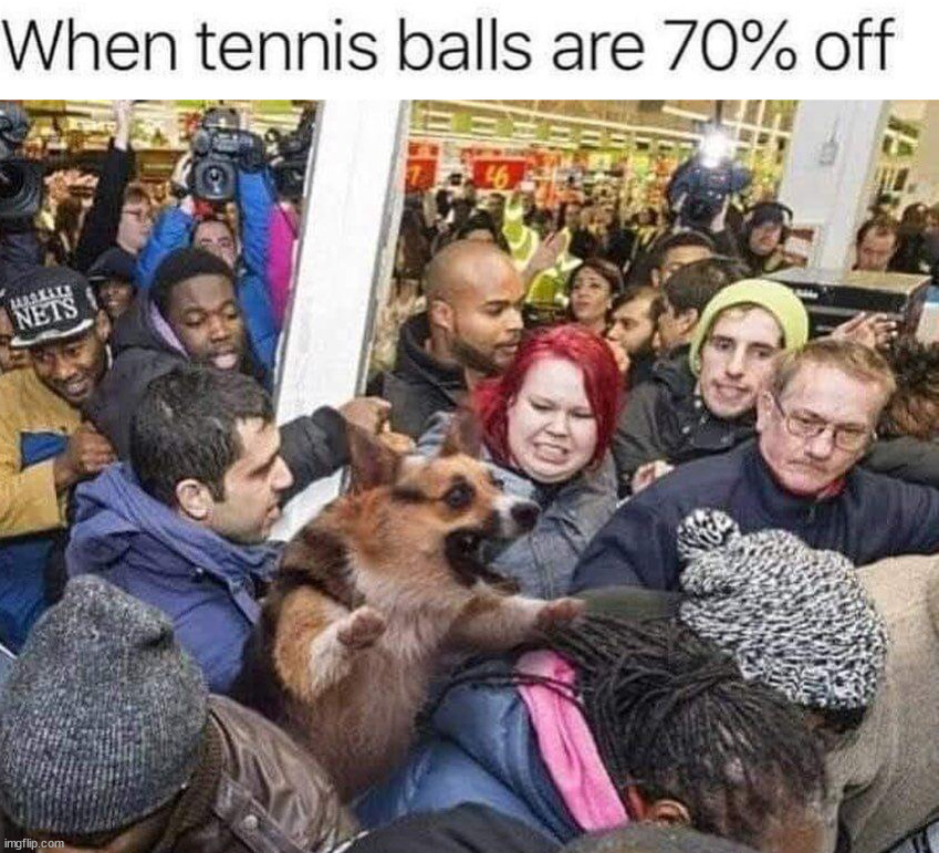 image tagged in dogs | made w/ Imgflip meme maker