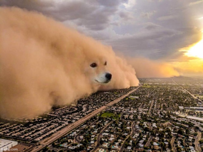 New template!! :D | image tagged in doge sandstorm | made w/ Imgflip meme maker