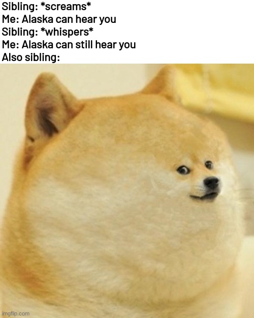 fat doge wow | Sibling: *screams*
Me: Alaska can hear you
Sibling: *whispers*
Me: Alaska can still hear you
Also sibling: | image tagged in memes,funny | made w/ Imgflip meme maker