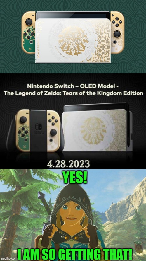 IT'S BEAUTIFUL! | YES! I AM SO GETTING THAT! | image tagged in the legend of zelda,the legend of zelda breath of the wild,nintendo switch | made w/ Imgflip meme maker