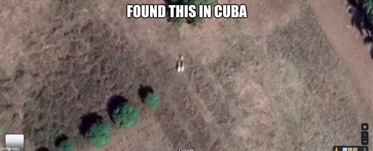 whar is dis cangarro | FOUND THIS IN CUBA | image tagged in cuba | made w/ Imgflip meme maker