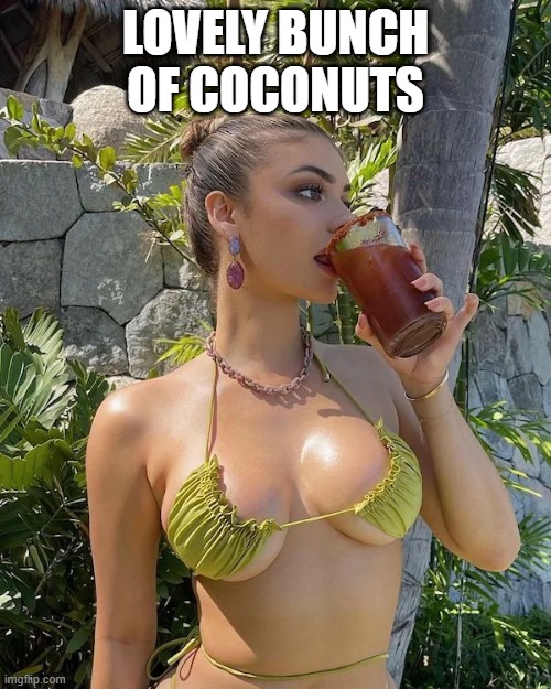 Coconuts | LOVELY BUNCH OF COCONUTS | image tagged in boobs | made w/ Imgflip meme maker