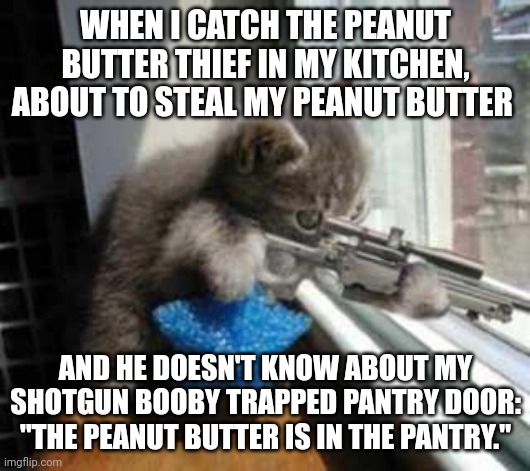 The peanut butter is in the pantry | WHEN I CATCH THE PEANUT BUTTER THIEF IN MY KITCHEN, ABOUT TO STEAL MY PEANUT BUTTER; AND HE DOESN'T KNOW ABOUT MY SHOTGUN BOOBY TRAPPED PANTRY DOOR: "THE PEANUT BUTTER IS IN THE PANTRY." | image tagged in catsniper | made w/ Imgflip meme maker