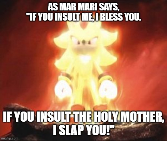 Super Shadow | AS MAR MARI SAYS,
"IF YOU INSULT ME, I BLESS YOU. IF YOU INSULT THE HOLY MOTHER,
I SLAP YOU!" | image tagged in super shadow | made w/ Imgflip meme maker