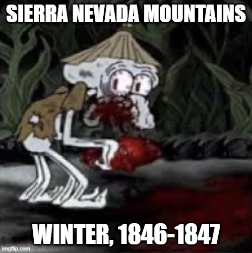 It was a Donner Party | SIERRA NEVADA MOUNTAINS; WINTER, 1846-1847 | image tagged in history memes | made w/ Imgflip meme maker