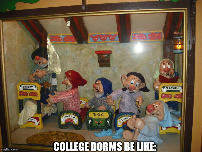 my boy Bashful tryna study | COLLEGE DORMS BE LIKE: | image tagged in college bedrooms | made w/ Imgflip meme maker