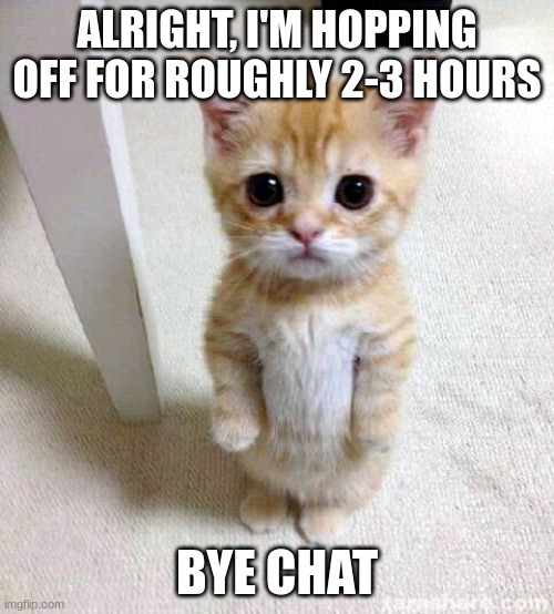Cute Cat Meme | ALRIGHT, I'M HOPPING OFF FOR ROUGHLY 2-3 HOURS; BYE CHAT | image tagged in memes,cute cat | made w/ Imgflip meme maker