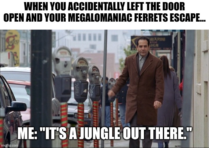 Ferret escape, it's a jungle out there | WHEN YOU ACCIDENTALLY LEFT THE DOOR OPEN AND YOUR MEGALOMANIAC FERRETS ESCAPE... ME: "IT'S A JUNGLE OUT THERE." | image tagged in memes,ferret | made w/ Imgflip meme maker