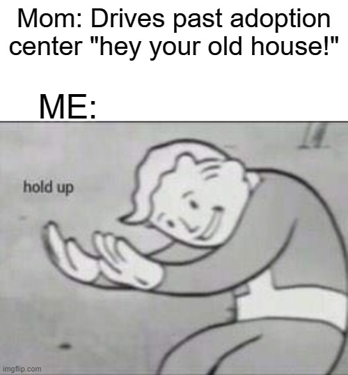 Fallout hold up with space on the top | Mom: Drives past adoption center "hey your old house!"; ME: | image tagged in fallout hold up with space on the top | made w/ Imgflip meme maker