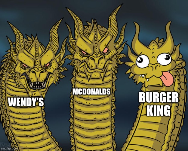 so gross | MCDONALDS; BURGER
KING; WENDY'S | image tagged in three-headed dragon,cheeseburger,burger king,mcdonalds,wendy's | made w/ Imgflip meme maker