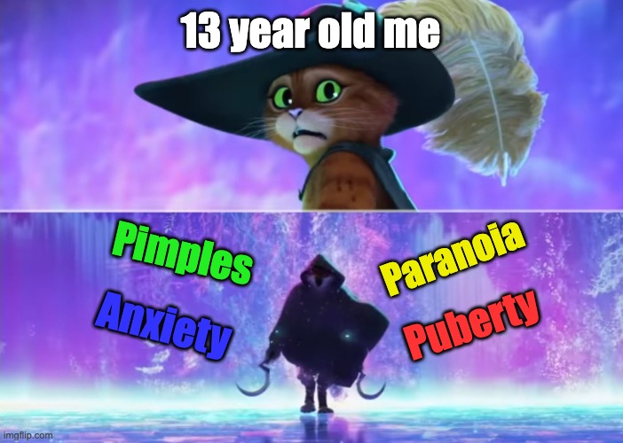 13 is a time to be alive I guess | 13 year old me; Pimples; Paranoia; Anxiety; Puberty | image tagged in puss and boots scared,memes,funny | made w/ Imgflip meme maker