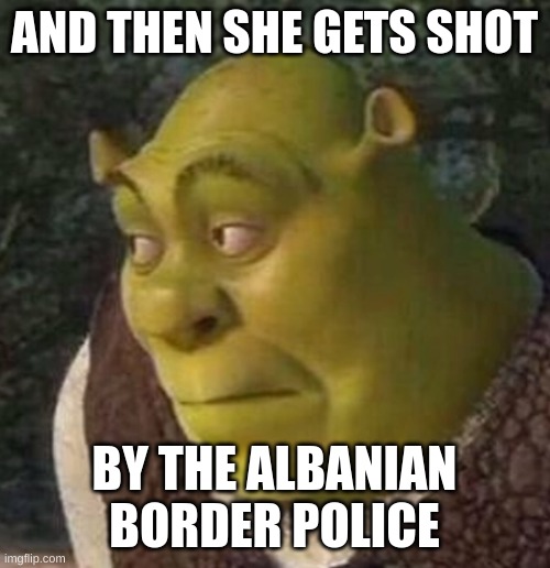 Shrek | AND THEN SHE GETS SHOT BY THE ALBANIAN BORDER POLICE | image tagged in shrek | made w/ Imgflip meme maker