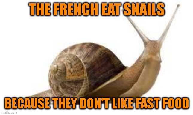 Fast Food | THE FRENCH EAT SNAILS; BECAUSE THEY DON'T LIKE FAST FOOD | image tagged in snail | made w/ Imgflip meme maker