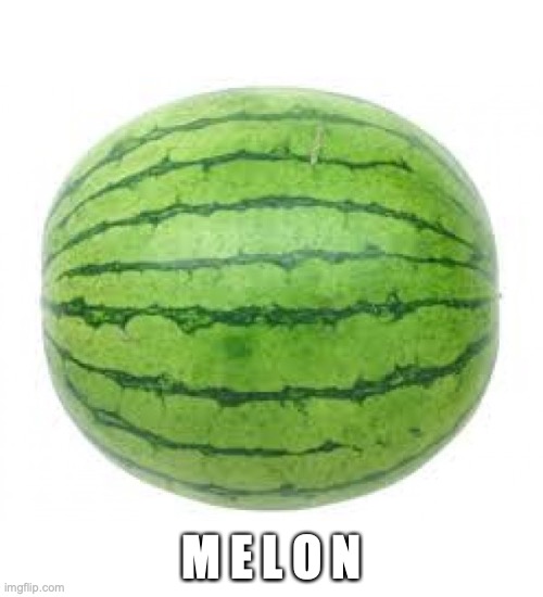 Watermelon | M E L O N | image tagged in watermelon | made w/ Imgflip meme maker