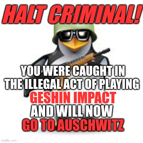 no anime penguin | HALT CRIMINAL! YOU WERE CAUGHT IN THE ILLEGAL ACT OF PLAYING; GESHIN IMPACT; AND WILL NOW; GO TO AUSCHWITZ | image tagged in no anime penguin | made w/ Imgflip meme maker