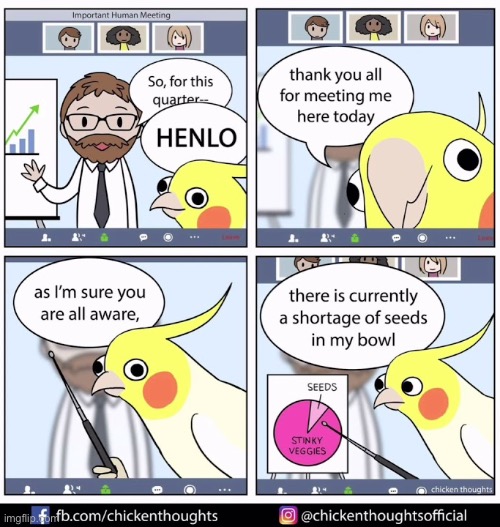 Birb comic: business meeting | image tagged in birb,comics | made w/ Imgflip meme maker