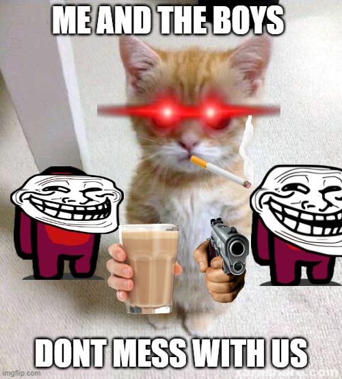 Cute Cat Meme - Imgflip