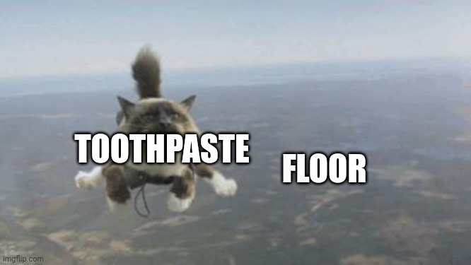 TOOTHPASTE FLOOR | image tagged in skydiving cat | made w/ Imgflip meme maker