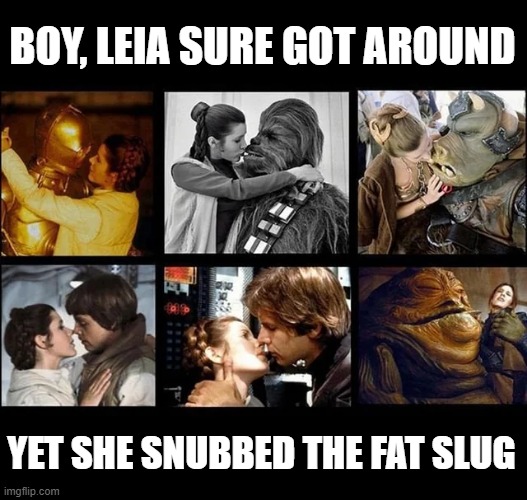 That's Rude Princess | BOY, LEIA SURE GOT AROUND; YET SHE SNUBBED THE FAT SLUG | image tagged in star wars,princess leia | made w/ Imgflip meme maker