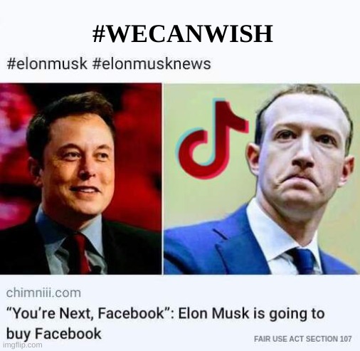 WHO BUYS THE MOST CONGRESS WINS? | #WECANWISH | image tagged in elon musk,facebook,tik tok,fail,epic fail,free speech | made w/ Imgflip meme maker