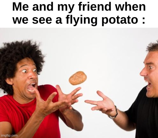 Well, how do you expect us to react ? | Me and my friend when we see a flying potato : | image tagged in pittsburgh steelers - hot potato pass play,memes,funny,potato,relatable,front page plz | made w/ Imgflip meme maker