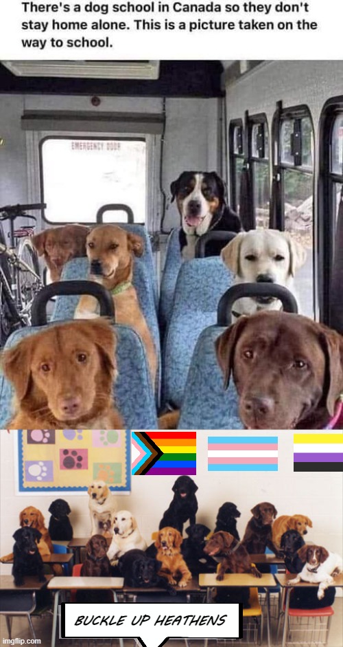 BUCKLE UP HEATHENS | image tagged in lgbtq,funny,dogs,education | made w/ Imgflip meme maker