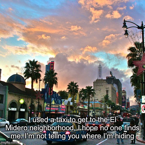 Los Angeles | I used a taxi to get to the El Midero neighborhood, I hope no one finds me. I’m not tellng you where I’m hiding | image tagged in los angeles | made w/ Imgflip meme maker