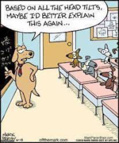 Teacher dog | image tagged in dog,schools,teacher | made w/ Imgflip meme maker