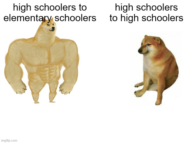 Buff Doge vs. Cheems Meme | high schoolers to elementary schoolers; high schoolers to high schoolers | image tagged in memes,buff doge vs cheems | made w/ Imgflip meme maker